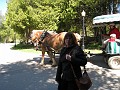 Mackinaw Island Area May 2008 0400